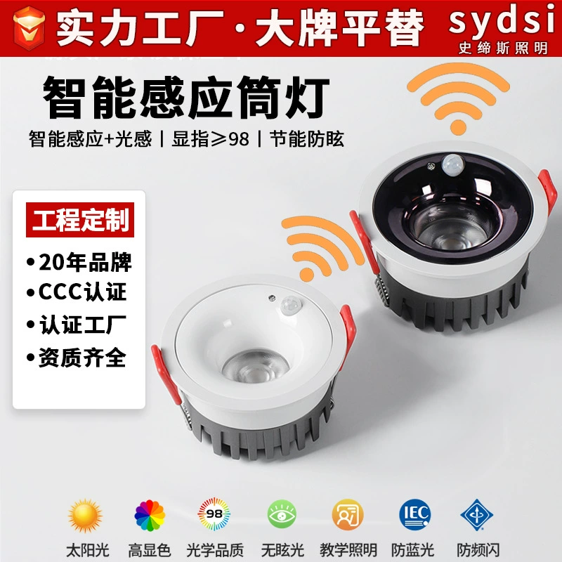 Built-in physiological induction ceiling light, lights for living room for corridor