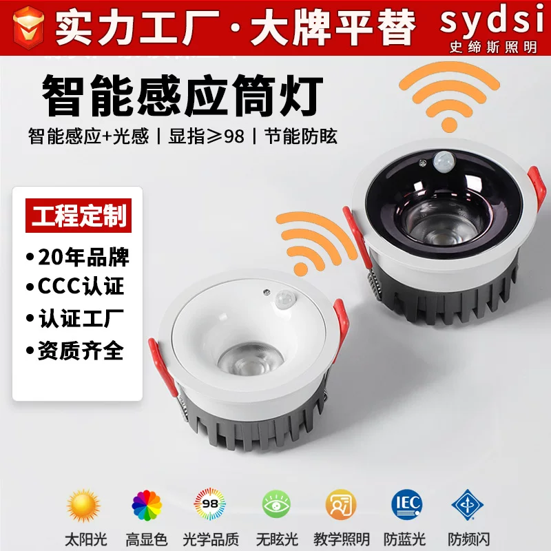 Built-in physiological induction ceiling light, lights for living room for corridor