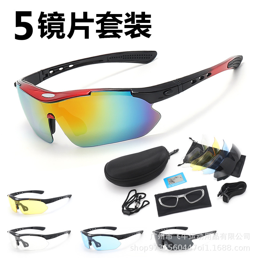 통합 빨간색 편광 세트