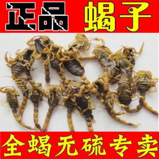 ��؛ �}ˮϐ�Ӹ�ȫ�x ȫϐʳ�� 50�� ���]��؛��؛