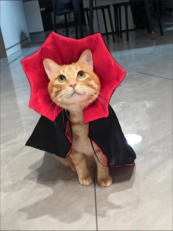 ペットハロウィーンマント猫犬血族王変装服貴賓比熊雪納瑞博美|undefined