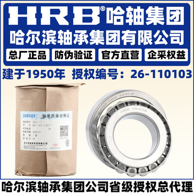 HRB Харбин подшипник 33016 33017 33018 33019 33020 33021 33022