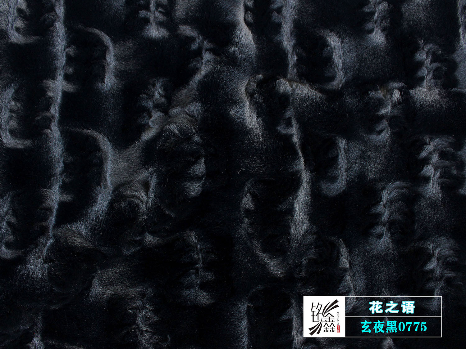 11玄夜黑0775.jpg