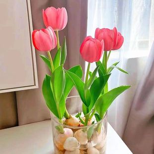�M��ˮ��������N�������������������㻨���ͺ������_�����B��