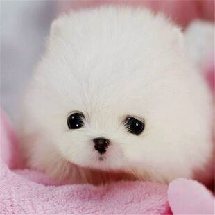 ���۶��Ʋ���С�͌�����w�����豭Ȯ���pȮ��HȮ�޻��ǿ���Ȯ