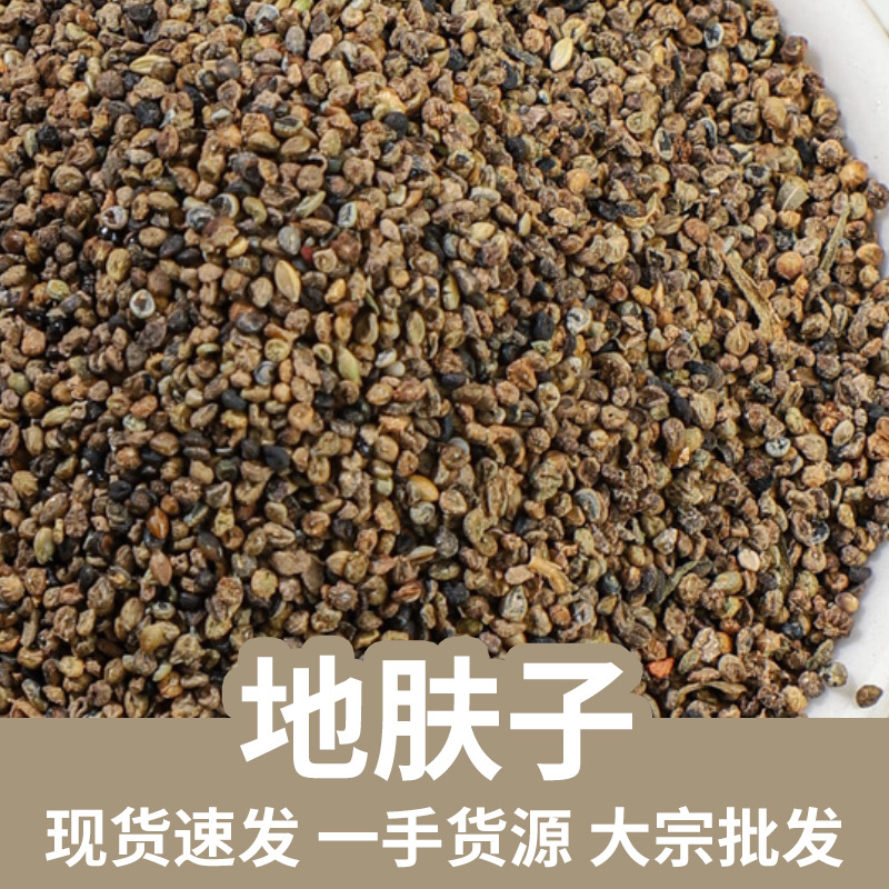 Kochia Fruit Di Fu Zi 地肤子 Dried Seeds 50g Traditional Herbal Decoction Ingredient key features