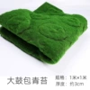 Drumbar bag moss
