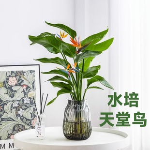 �����Bˮ��ֲ��͏d�Gֲ�����k���҃Ȼ��������ļ�����ˮ�B�Q���m