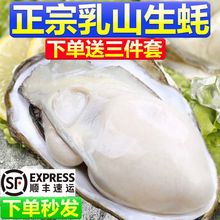 乳山生蚝鲜活牡蛎5斤新鲜海鲜海产带箱水产特大海蛎子商用顺丰