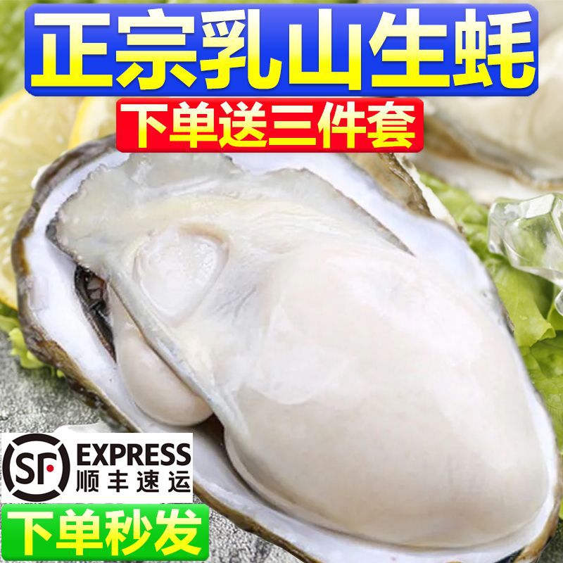 乳山生蚝鲜活牡蛎5斤新鲜海鲜海产带箱水产特大海蛎子商用顺丰