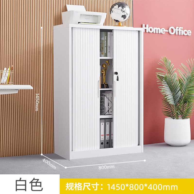 推拉卷帘门柜办公文件柜铁皮柜财务凭证柜钢制书柜阳台储物柜矮柜|undefined