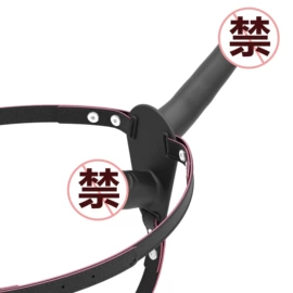 其他情趣用品;后庭用品;仿真阳具