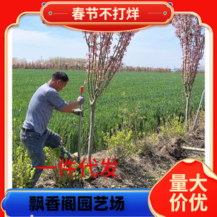 һ�����lͥԺ���Ę���G�������ͺ�ֲ�������ļ��_�����z��������