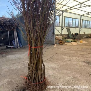 �޽����� Ʒ�Nȫ �F�ڬF�u �ڸкø߶�1������ ����޽�����