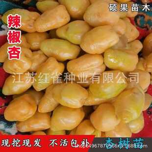 �޽������Ә�����Ʒ�N�����S�����ͺ����Ϸ��Nֲ����Y���������