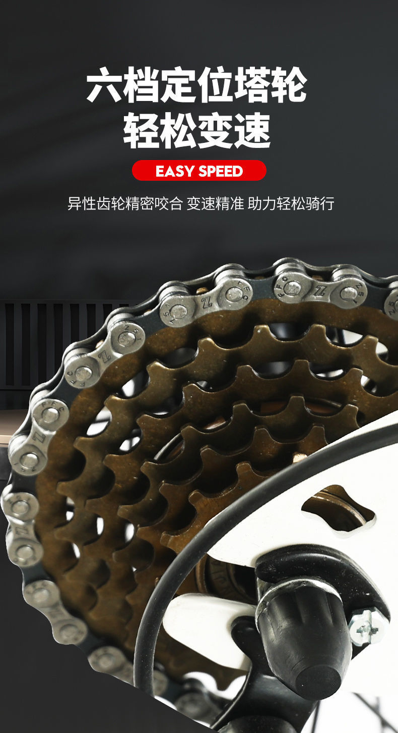 55eec240-885f-4543-8ed4-a791d4810ac0.jpe