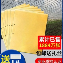 SpճxERNS{wxСw@մωTճ