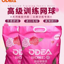 ODEA/�W�۠��W��Ӗ����ߏ����ʹ���ĥROSE��ɫ��l��CӖ���W��