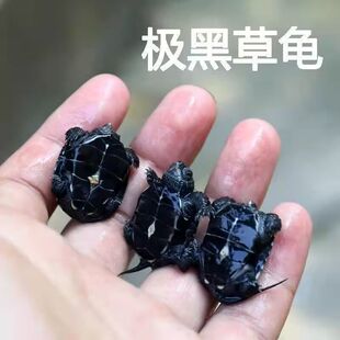 ī��ȫī��С����ȫ�ڸ��īС�������w����������ˮ�^�p����ˮ��