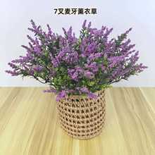 ����޹�²�7����ĭ������c�Ҿ��b����������Ϲ��̾Gֲ�羳��