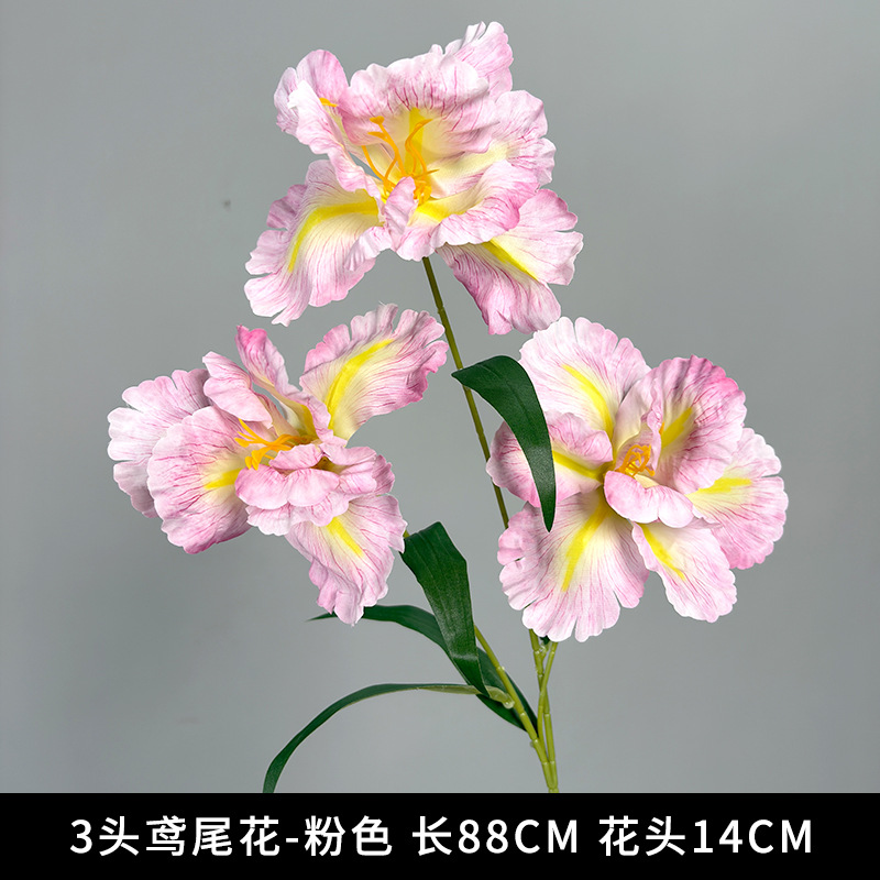 3-head iris "new arrival recommendation"