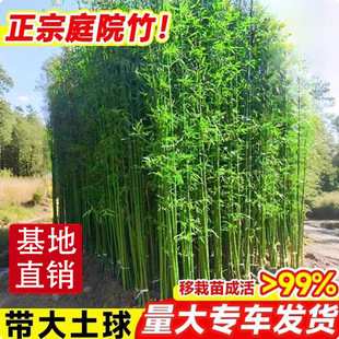 ������ͥԺ����Ժ��ֲ�ﱱ���^�p�����������S�����_�h���ļ��Gֲ