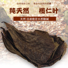 天然榄仁叶懒人叶水族用品斗鱼热带鱼龙鱼乌龟虾缸降酸水族ph值