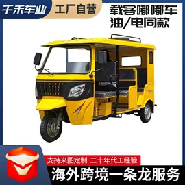 正三轮摩托车;电动三轮车;其他发动系统