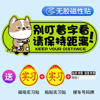 Female Drivers on the Road, Other Automotive Exterior Supplies - shoot-one-shot-four-strong-reflective-and-strong-magnetshiba-inu-dont-stare-at-the-words