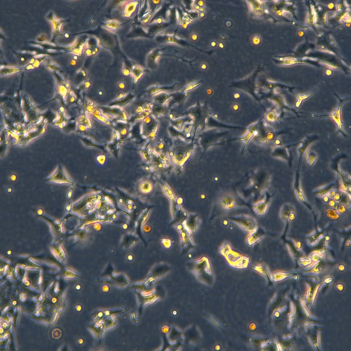 2025-09-18 15:09:52.jpg