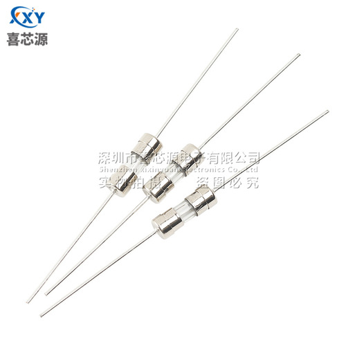 Source factory 3.6x10mm double cap glass fuse F3A 250V fast break with lead foot fuse 