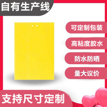 ճxSɫTxp羳́RdxnωNßzƬxN