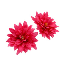 ���滨12cm�һ��������������컨���L�h���^�����diy���ϰ��仨