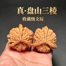 涞水精品文玩山地老树盘山三棱麻核桃收藏级手盘玩把件生日礼物QW