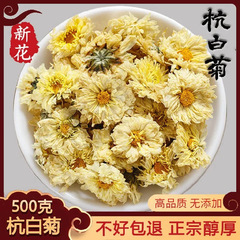 菊茶杭州白菊桐郷特級本物のお茶杭州菊杭州貢菊胎菊 250 グラム商業卸売