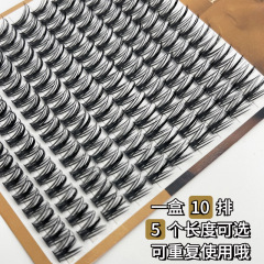 夢雪莉塔尖麥穗假睫毛10排大容量 細黑梗濃密小惡魔單簇自然朵毛