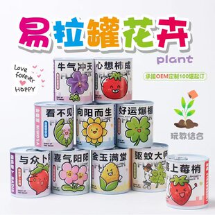 Back-To-School Gifts, Student Rewards, Practical DIY Plant Planting Blind Boxes, Kindergarten Children's Activity Prizes