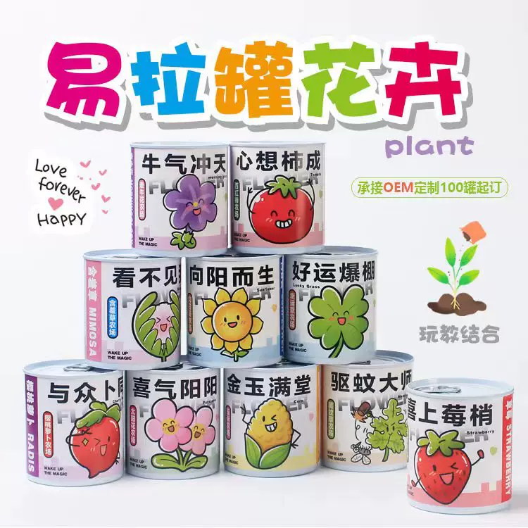 暑假研学礼物易拉罐植物盲盒桌面小盆栽花卉绿植好养活种子盆栽