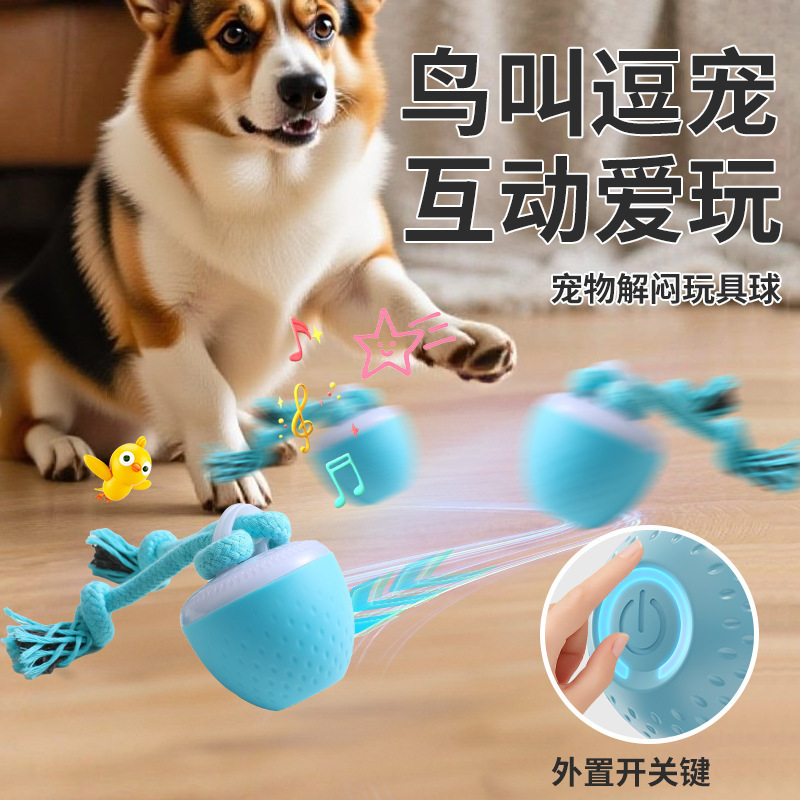 跨境智能耐咬逗绳子狗球磨牙发声玩具宠物智能滚动球电动狗狗解闷|undefined