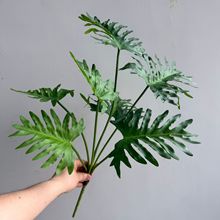 �����ָ��B��ާ�����~ �������� �~�ҾӲ廨���~ֲ��~�Ĵ����~