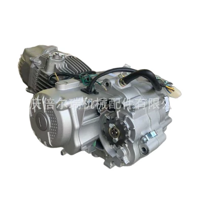 Motorcycle Zs1P62Yml-2, Engine assembly