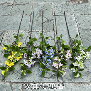 �¿���������� ��ɫ���㻨 ���Q��cܛ�b�Ҿ��bٻ����S���l