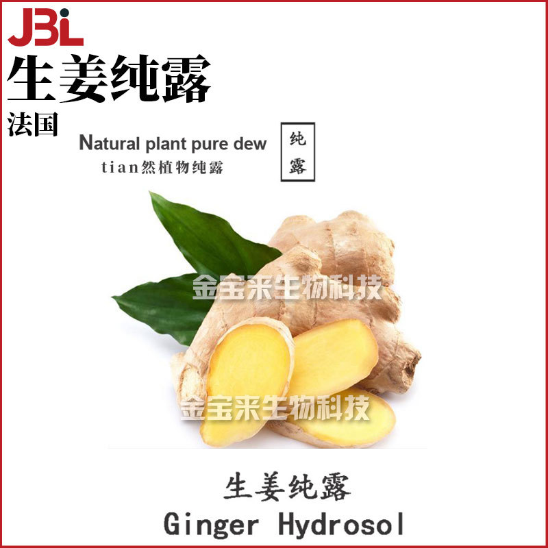 法国 生姜纯露 ginger 植物花水 护肤 化妆品原料 1kg