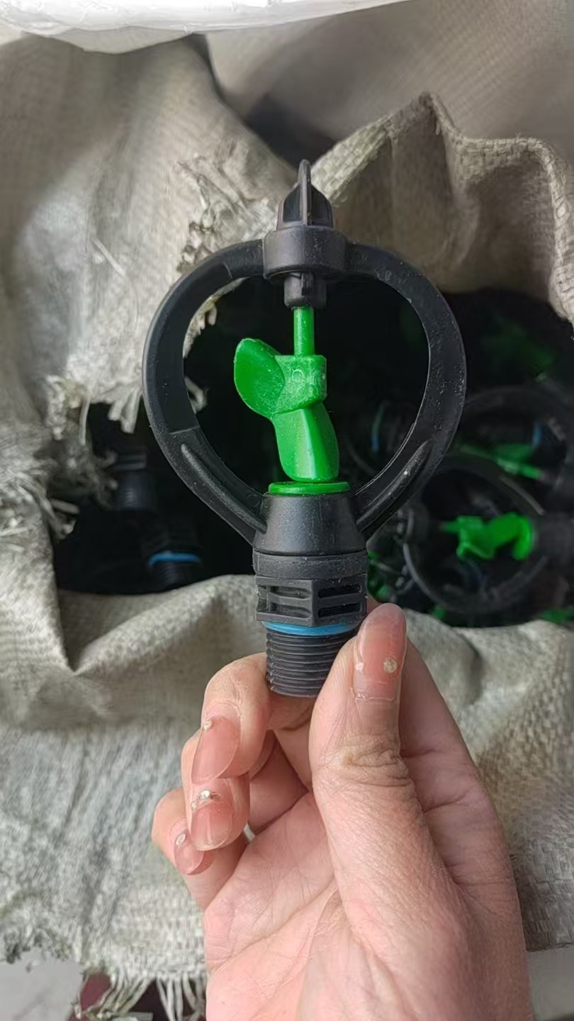 微信图片_202503011106161