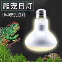 UVAӟ՟ҹ،muva¹؟մɟ