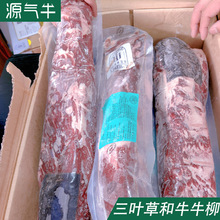 ���޺�ţM4-5ţ���M�����͏d����ţ�Ｙȥ��߅ԭ�Ѓ�ͯ����ţ��M9