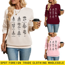 blue cohosh mugwort���R�dwish����վ�r�аٴ�Ůʿ�Ӻ�ë�q�l��