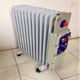 �V��ȡů�� ���]ʽ늟���͡BDN58-2000W1 220V������͡