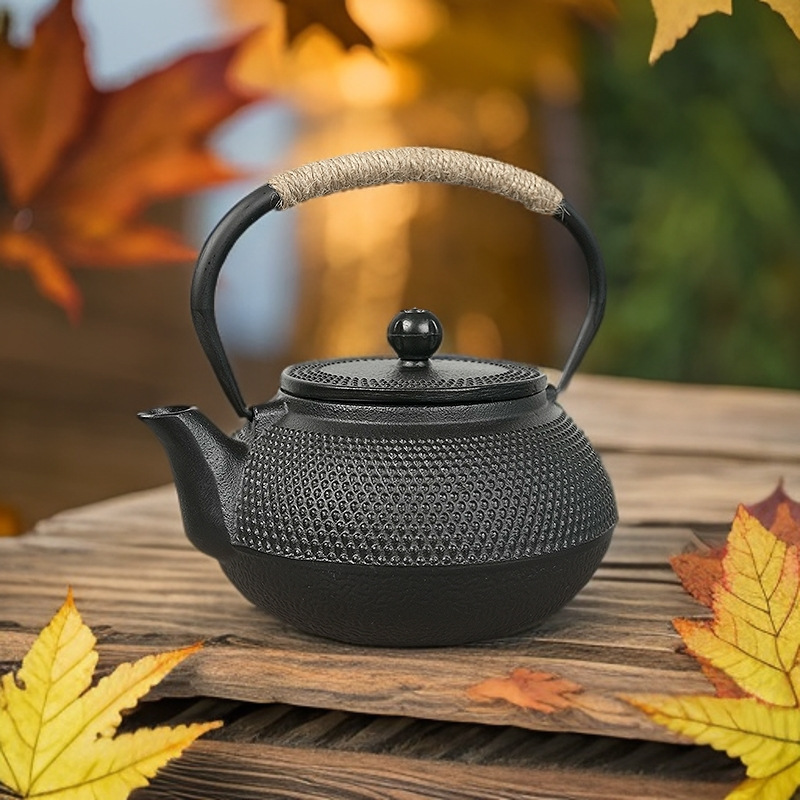 [Antique] cast iron teapot super capacity filter