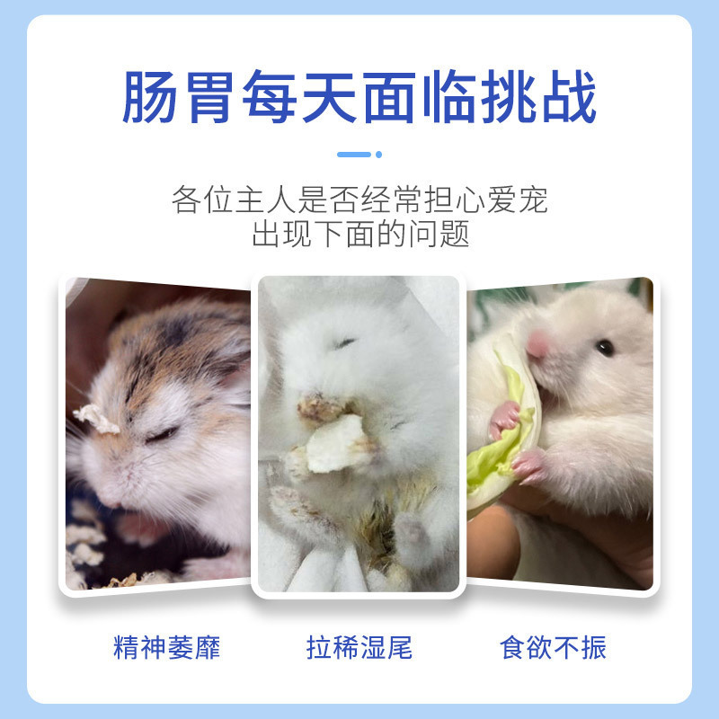 宠物仓鼠湿尾灵厂家感冒拉肚子拉稀软便冒肚仓鼠肠胃宝批发|undefined